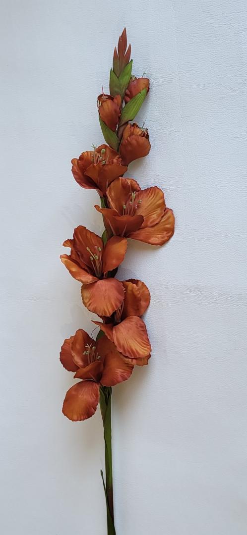 Gladiola Artificiala