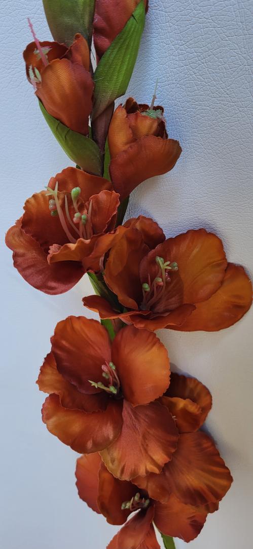 Gladiola Artificiala