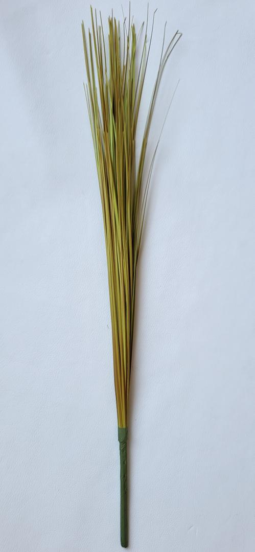 Iarbă de pampas