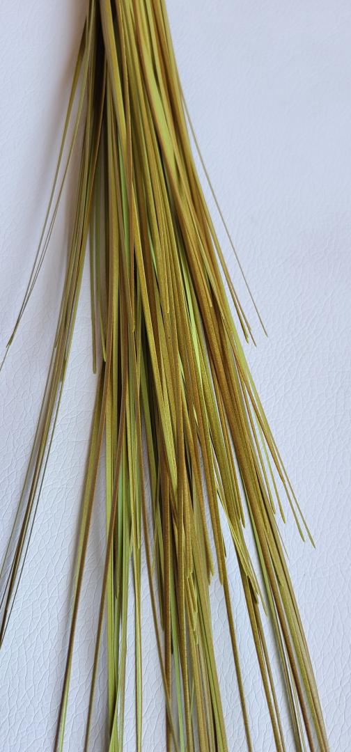 Iarbă de pampas