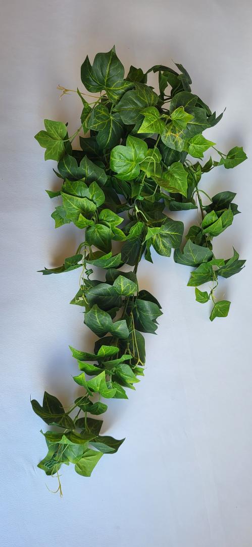 Buchet Iedera 8 fire