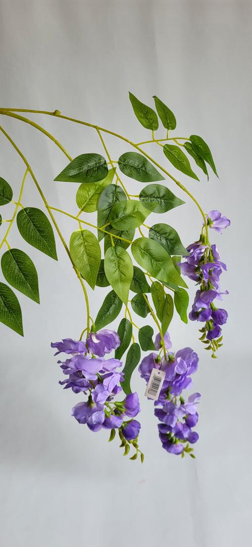 Wisteria Artificiala Mov