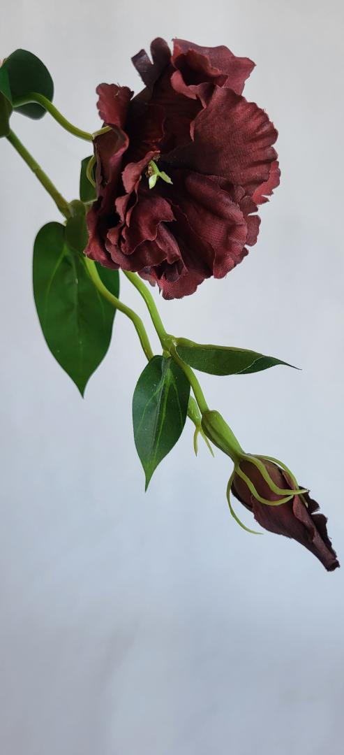 Lizianthus Artificial Dark Chocolate