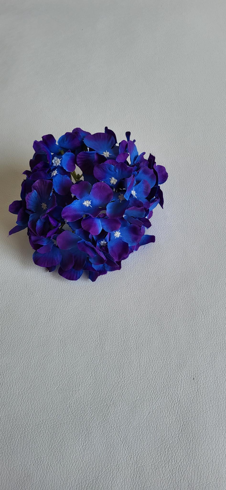 Hortensie albastru inchis