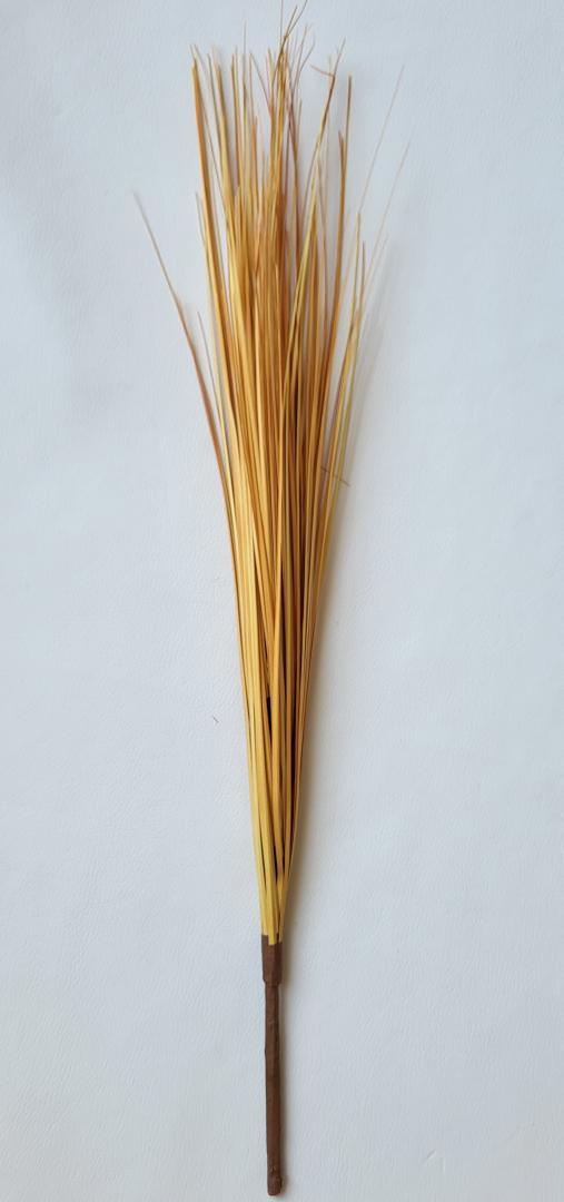 Iarbă de pampas