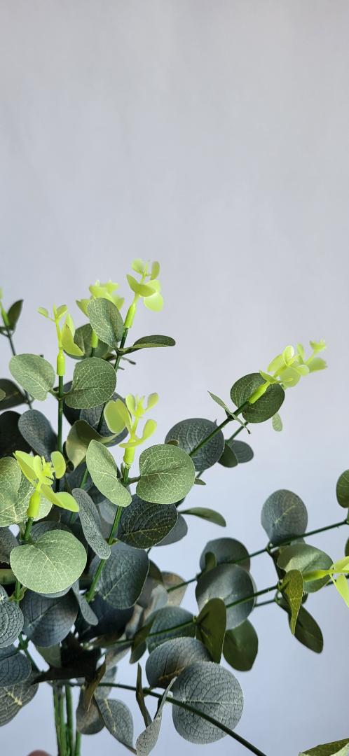 Buchet Eucalipt Artificial 4 crengi