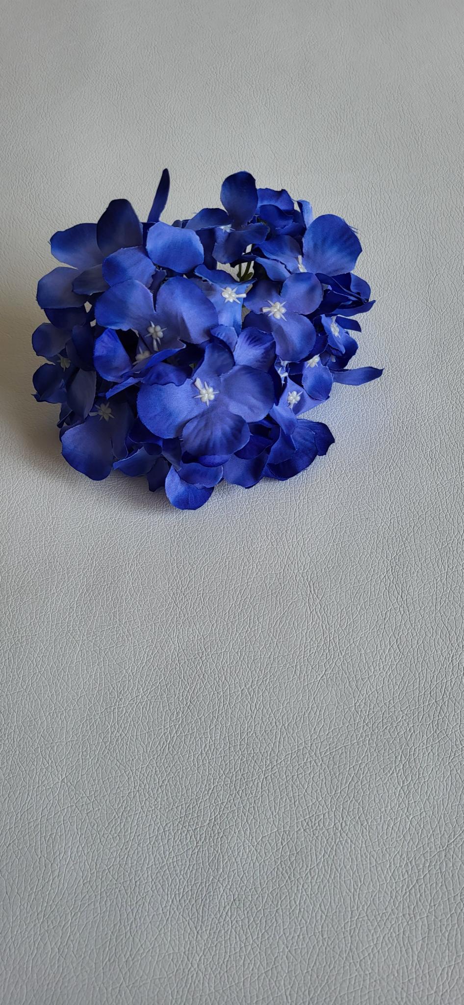 Hortensie albastru